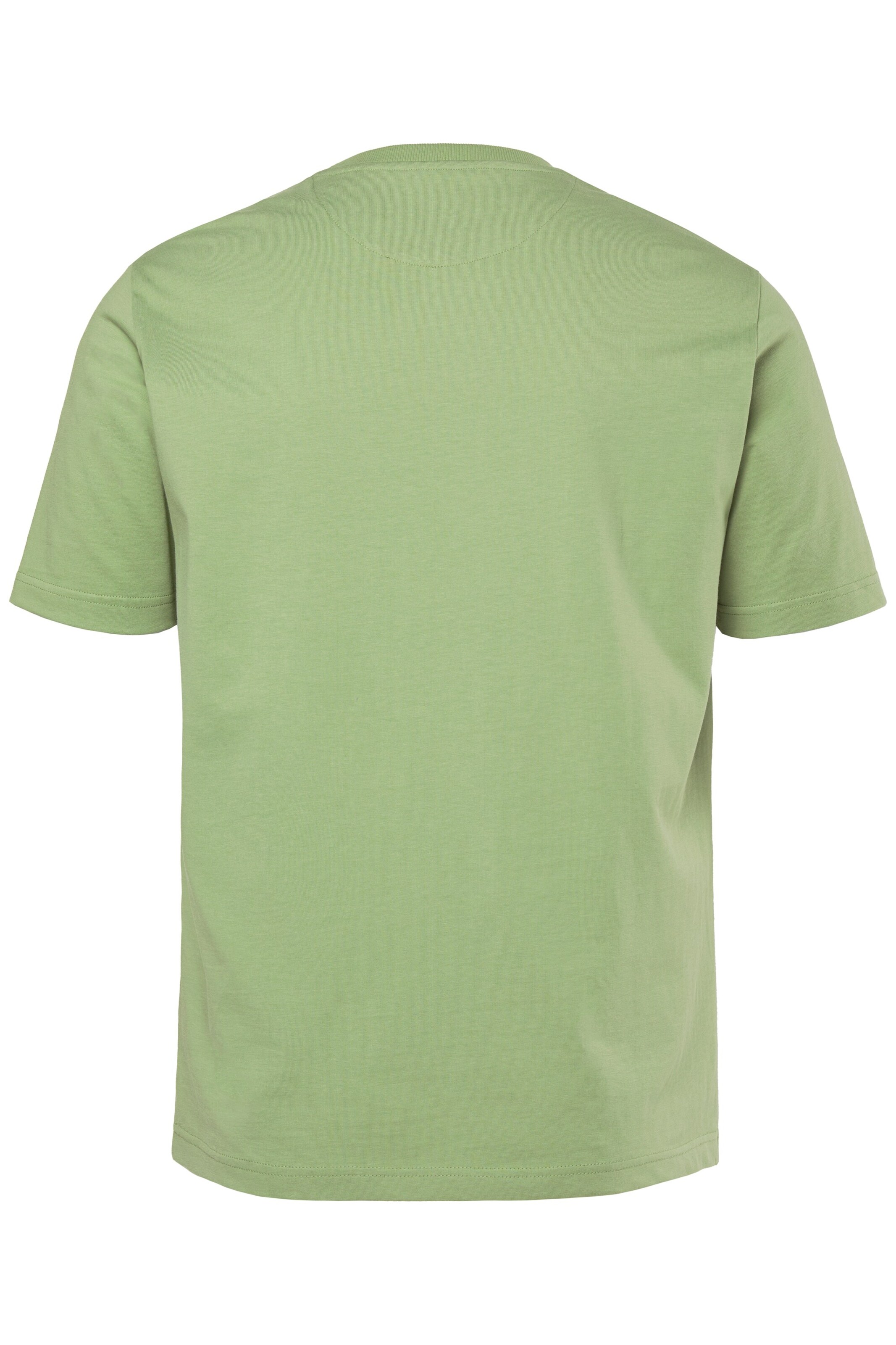 Men Plus T-Shirt in Grün