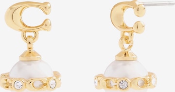 smėlio COACH Auskarai: priekis