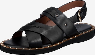 COACH Sandals in Black: front
