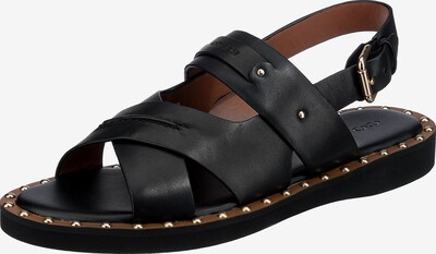 COACH Sandalen in schwarz, Produktansicht