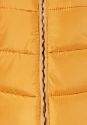 usha BLUE LABEL Prehodna jakna 'Fenia' | rumena barva
