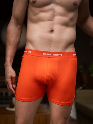 Happy Shorts Boxershorts in Blau: Vorderseite
