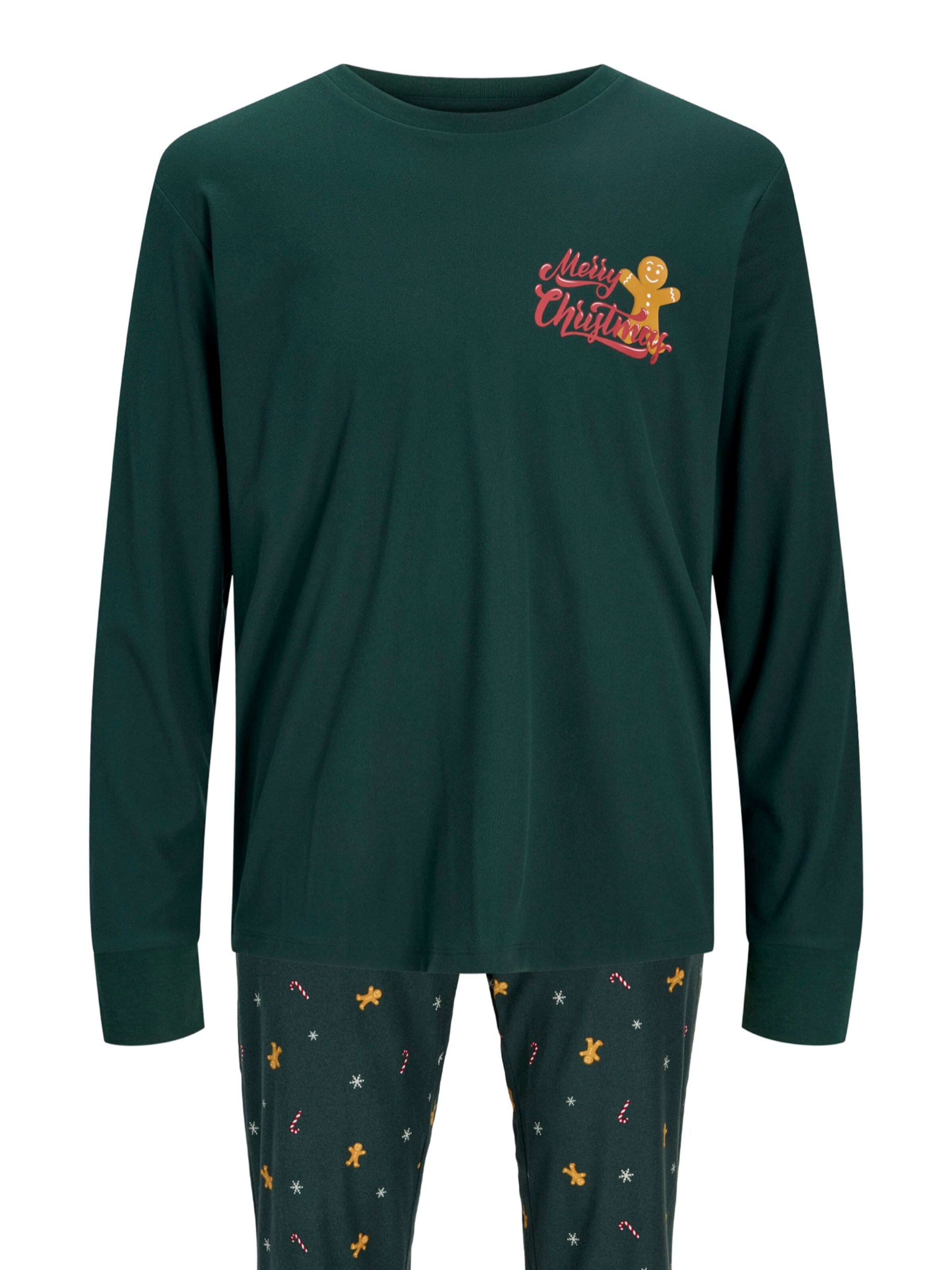 Pijama lungă 'JACTRISTAN' de la JACK & JONES pe verde