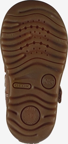 Chaussure basse GEOX en marron