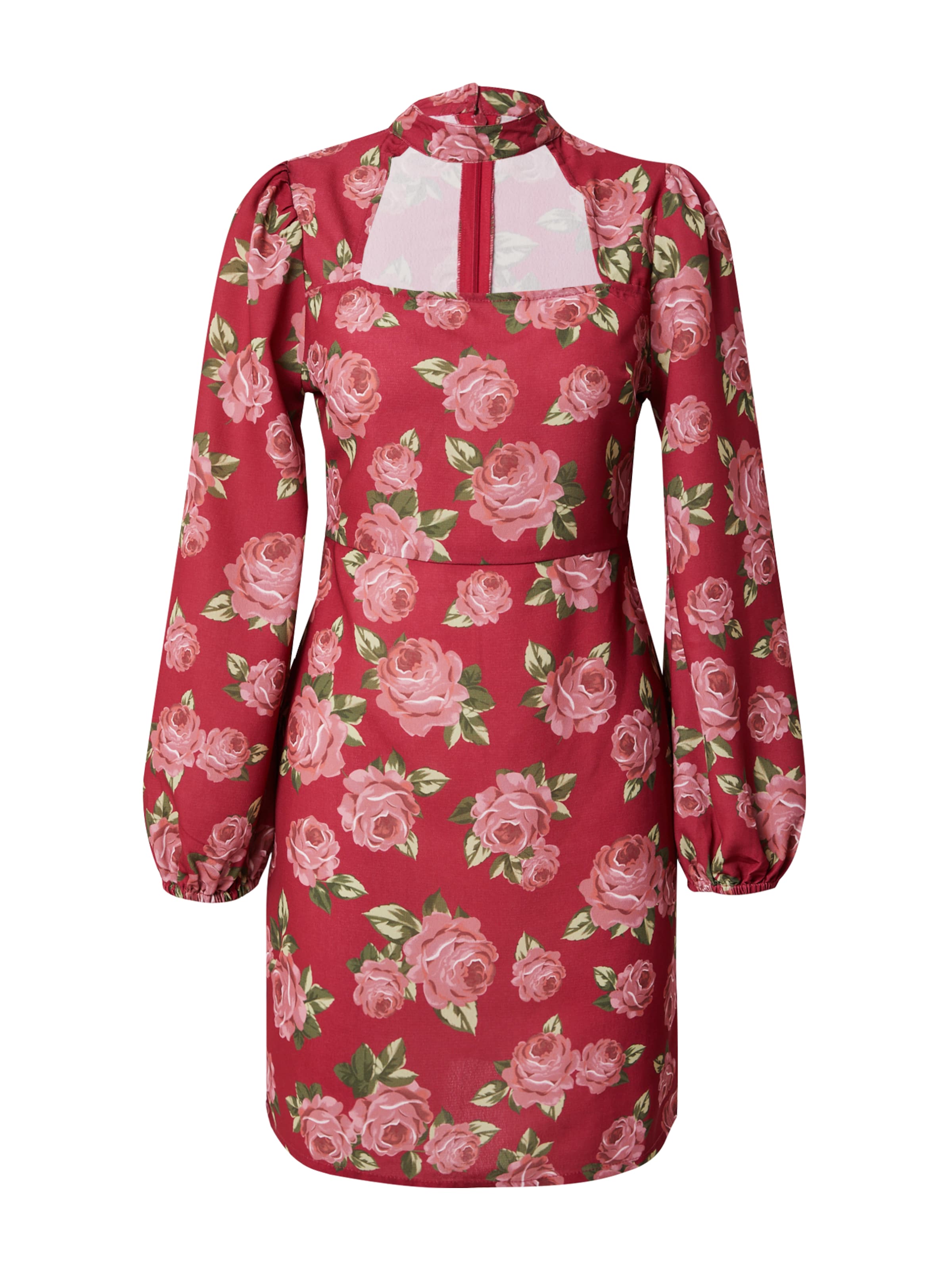 Dorothy Perkins Kleit, värv punane: eest vaates