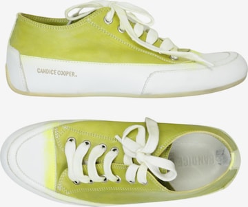 Candice Cooper Sneaker 35 in Grün: Vorderseite