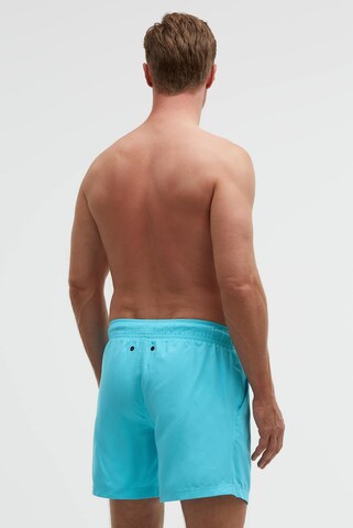 CAMP DAVID Board Shorts in Blue