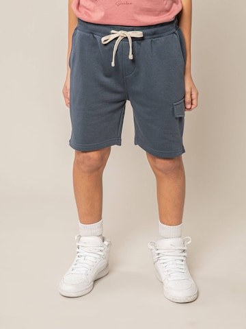 Regular Pantalon 'KOA' Deeluxe en bleu : devant