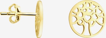 Sofia Milani Ohrringe 'Tree of Life' in Gold: Vorderseite