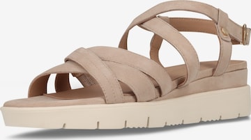 SALAMANDER Remsandal i beige: framsida