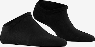 FALKE Füßlinge 'Active Breeze' in Schwarz: Vorderseite