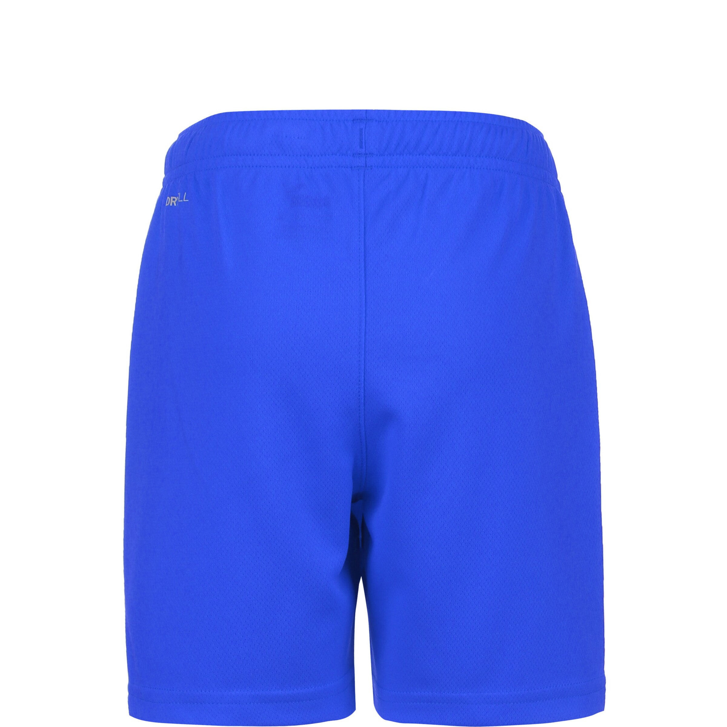 Regular Pantalon de sport 'TeamRise' PUMA en bleu