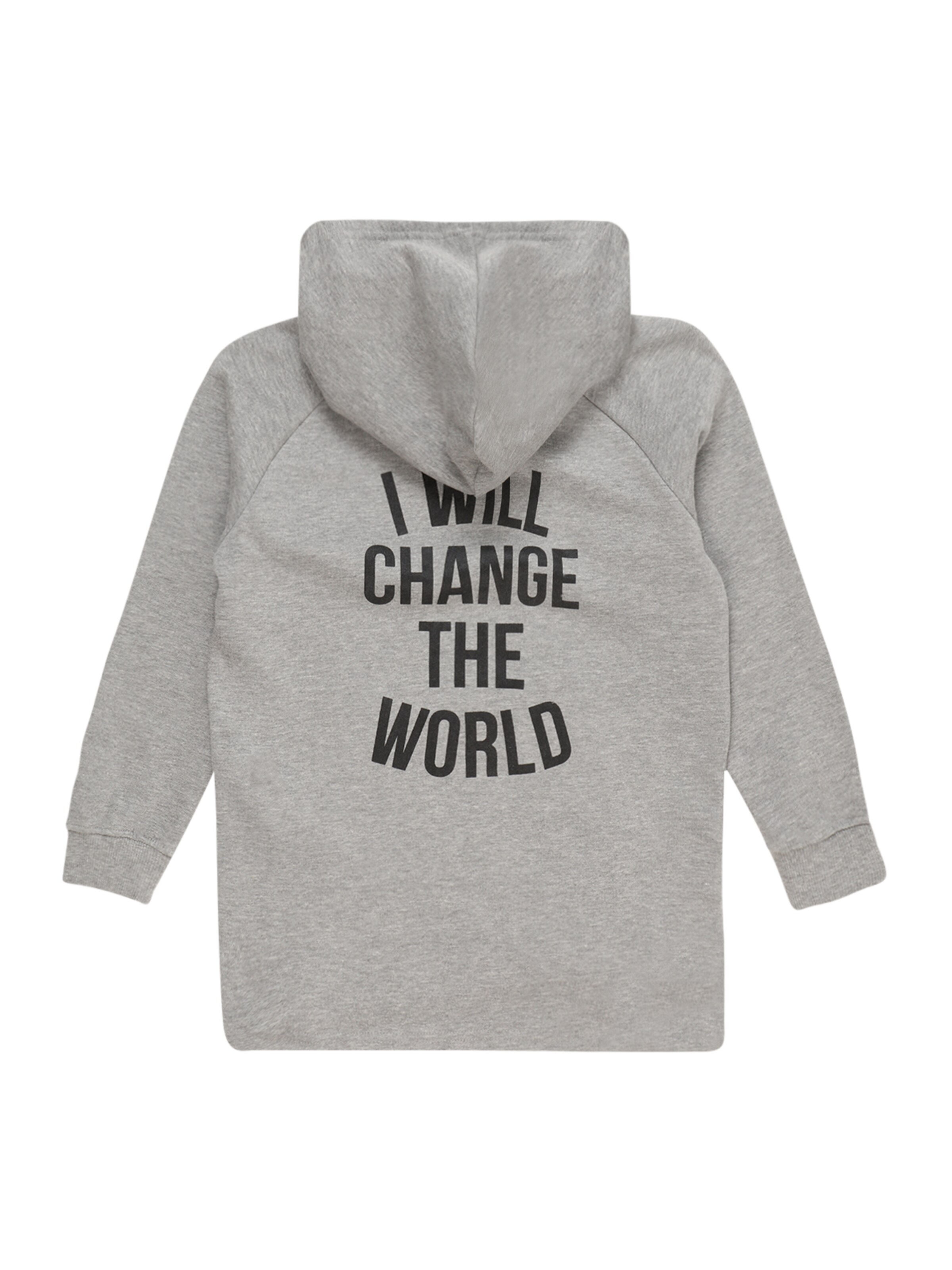 SOMETIME SOON Sweatshirt 'Monterey' i grå