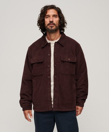 Superdry Between-Season Jacket in Brown: front