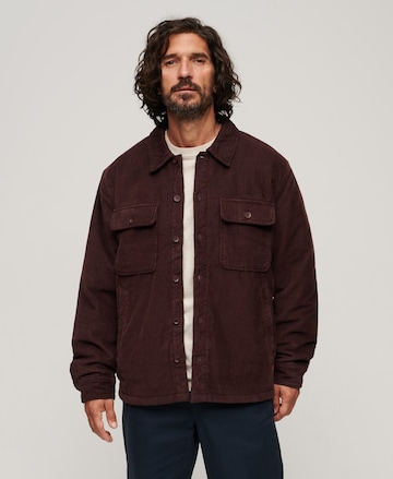 Veste mi-saison Superdry en marron : devant