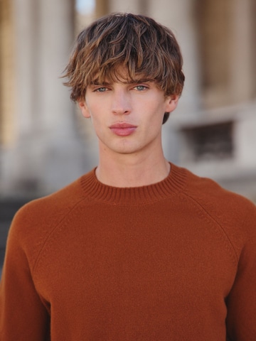 Pullover di Next in arancione