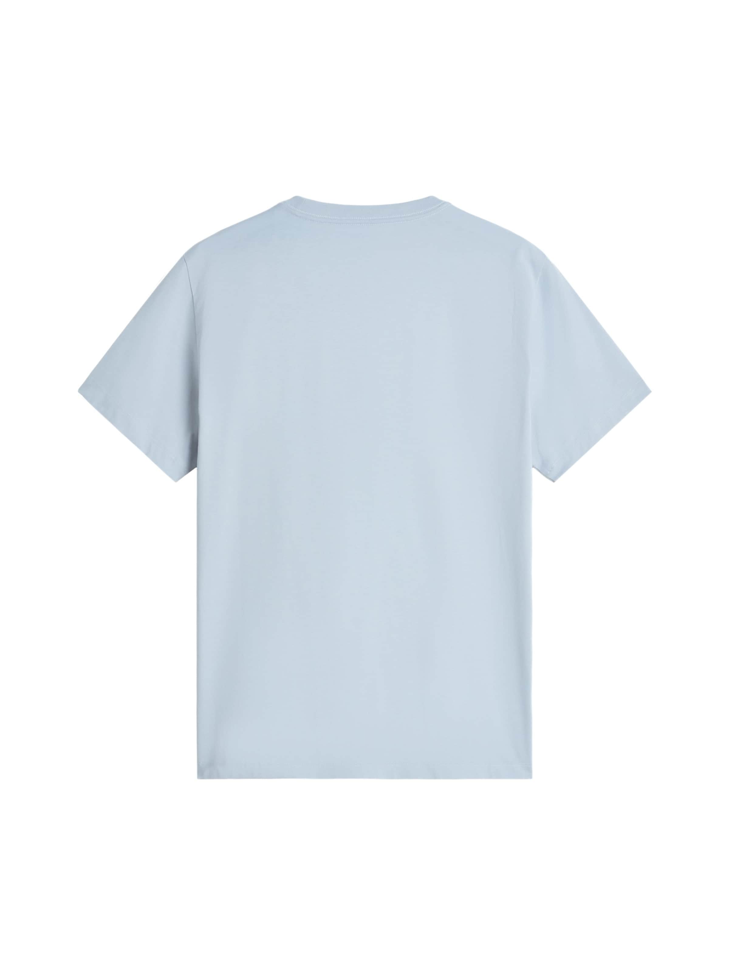 THE NORTH FACE Shirt 'M EVOLUTION SIMPLE DOME ' in Grijs