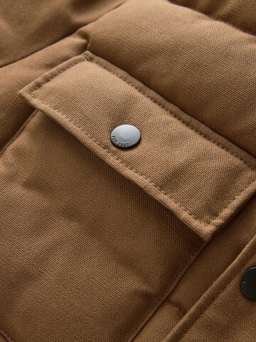 Next Winterjas in Bruin