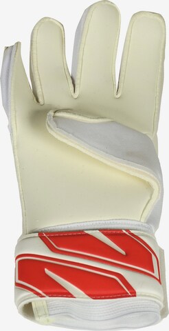 Gants de sport PUMA en blanc