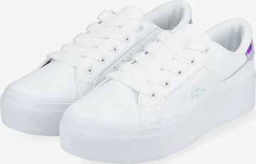 Baskets basses LACOSTE en blanc