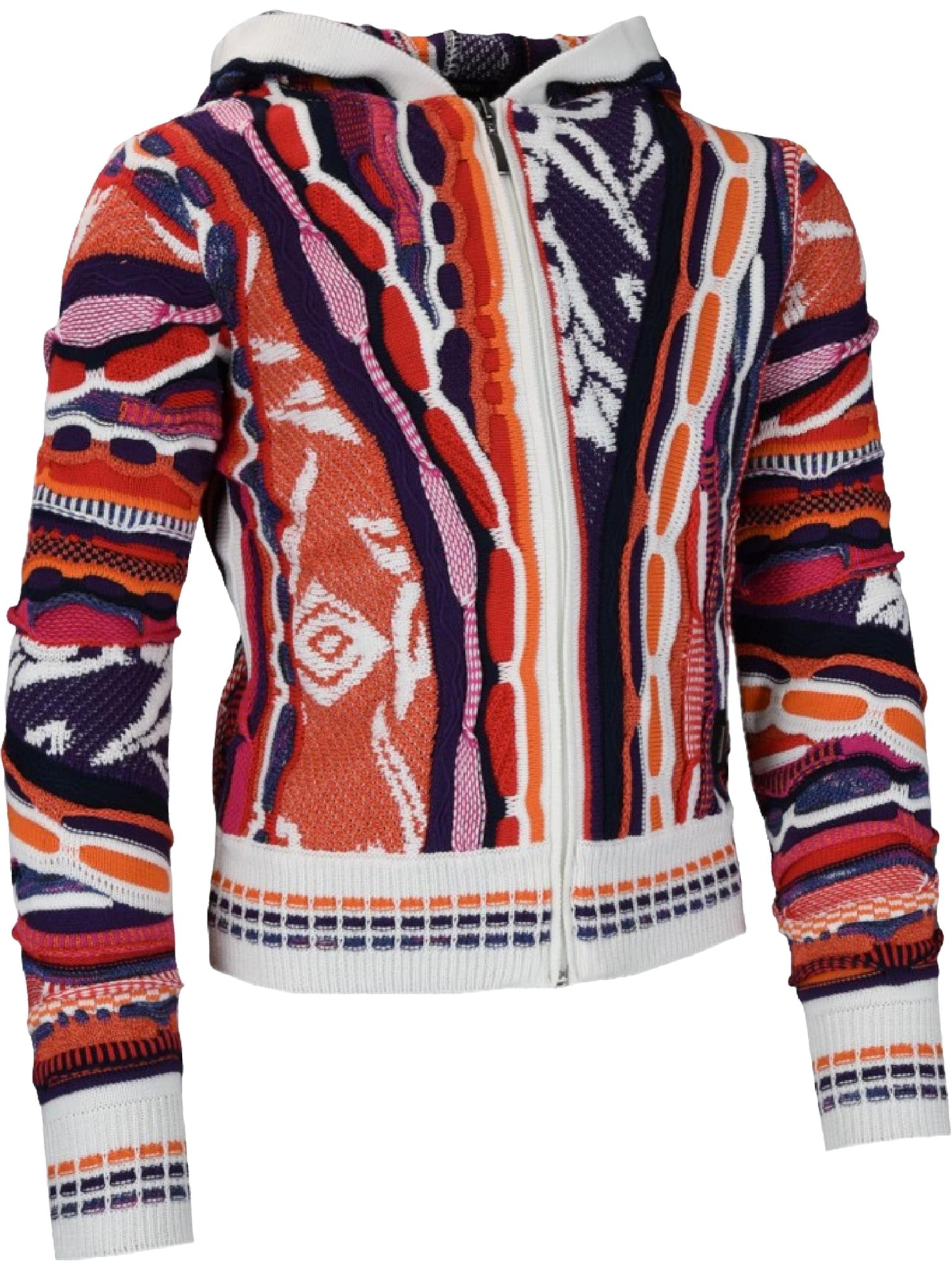 Carlo Colucci Sweater 'Castriotta' in Mixed colors: front