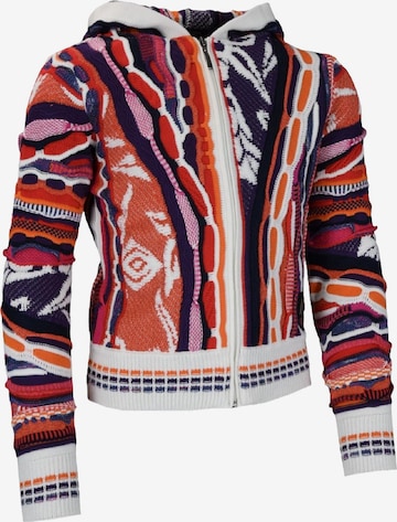 Carlo Colucci Sweater 'Castriotta' in Mixed colors: front