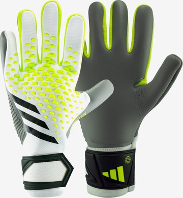 ADIDAS PERFORMANCE Athletic Gloves 'Predator Competition' in Grey: front