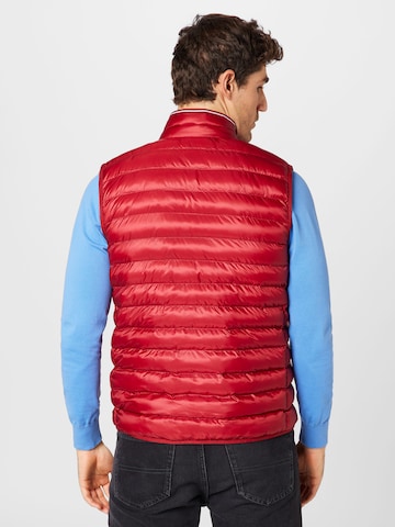 TOMMY HILFIGER Regular Bodywarmer in Rood