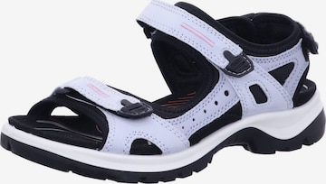 ECCO Sandale '069563/60563' in Blau: Vorderseite