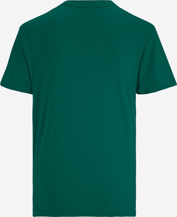 T-shirt fonctionnel 'BIENDORF' FILA en vert