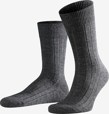 FALKE Socken in Schwarz: predná strana