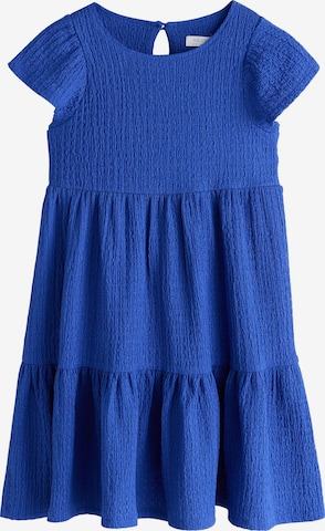 mėlyna Next Suknelė: priekis