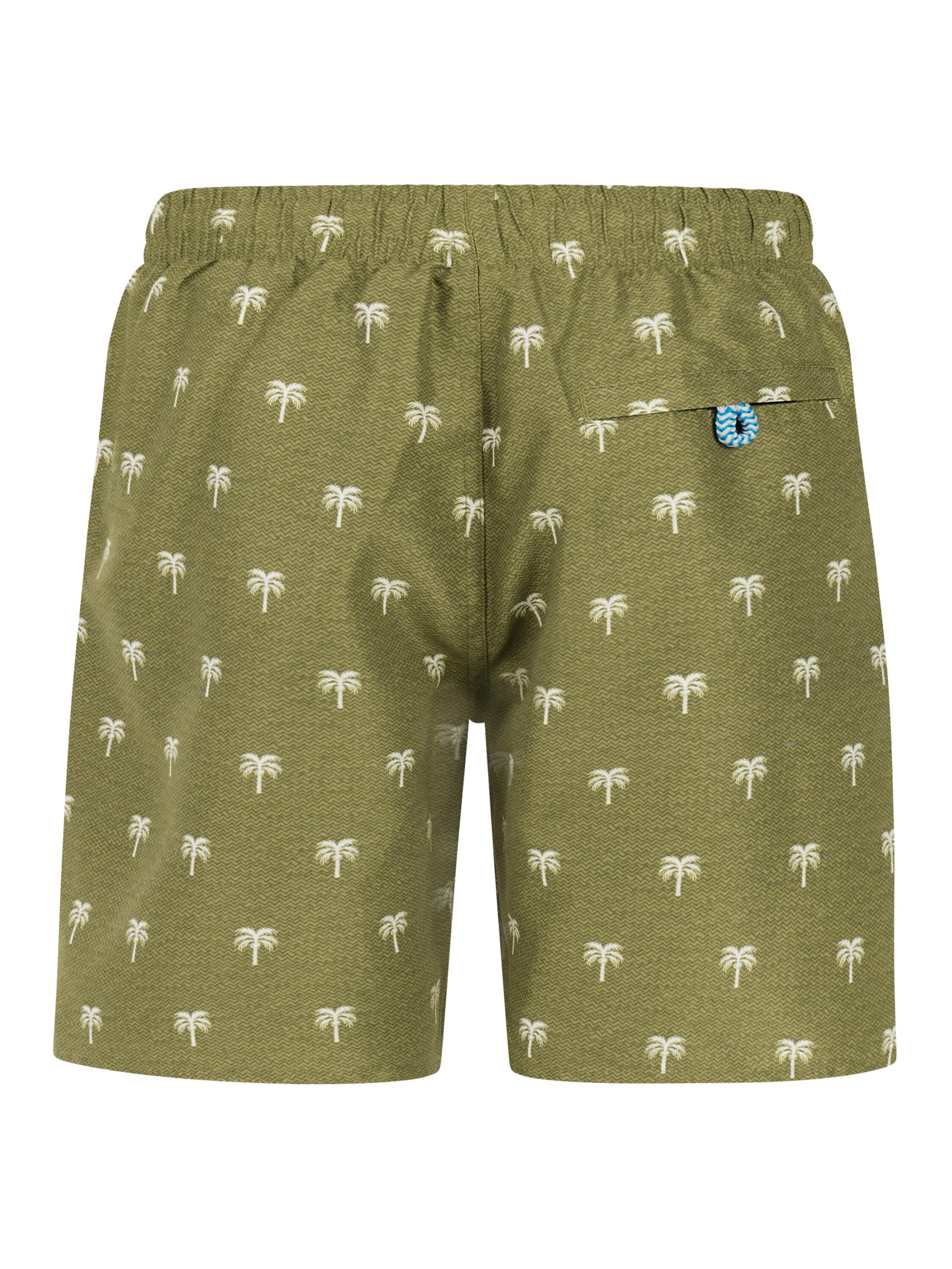 PROTEST Board Shorts 'PRTCalvin JR' in Green