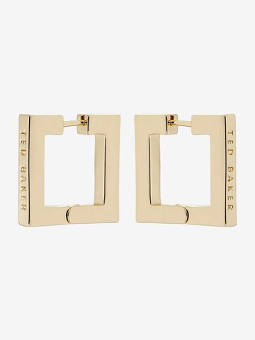 Ted Baker Earrings 'SAADIEY' in Gold