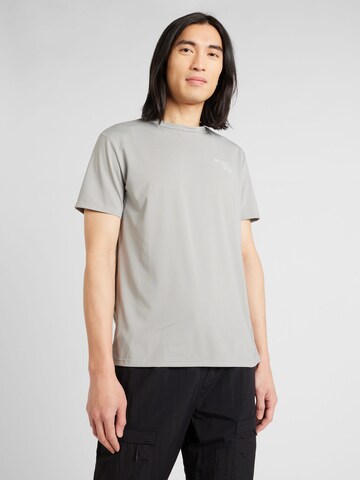 Lake View T-shirt 'Dion' i grå: framsida