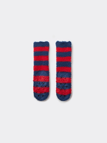 CALZEDONIA Socks in Blue