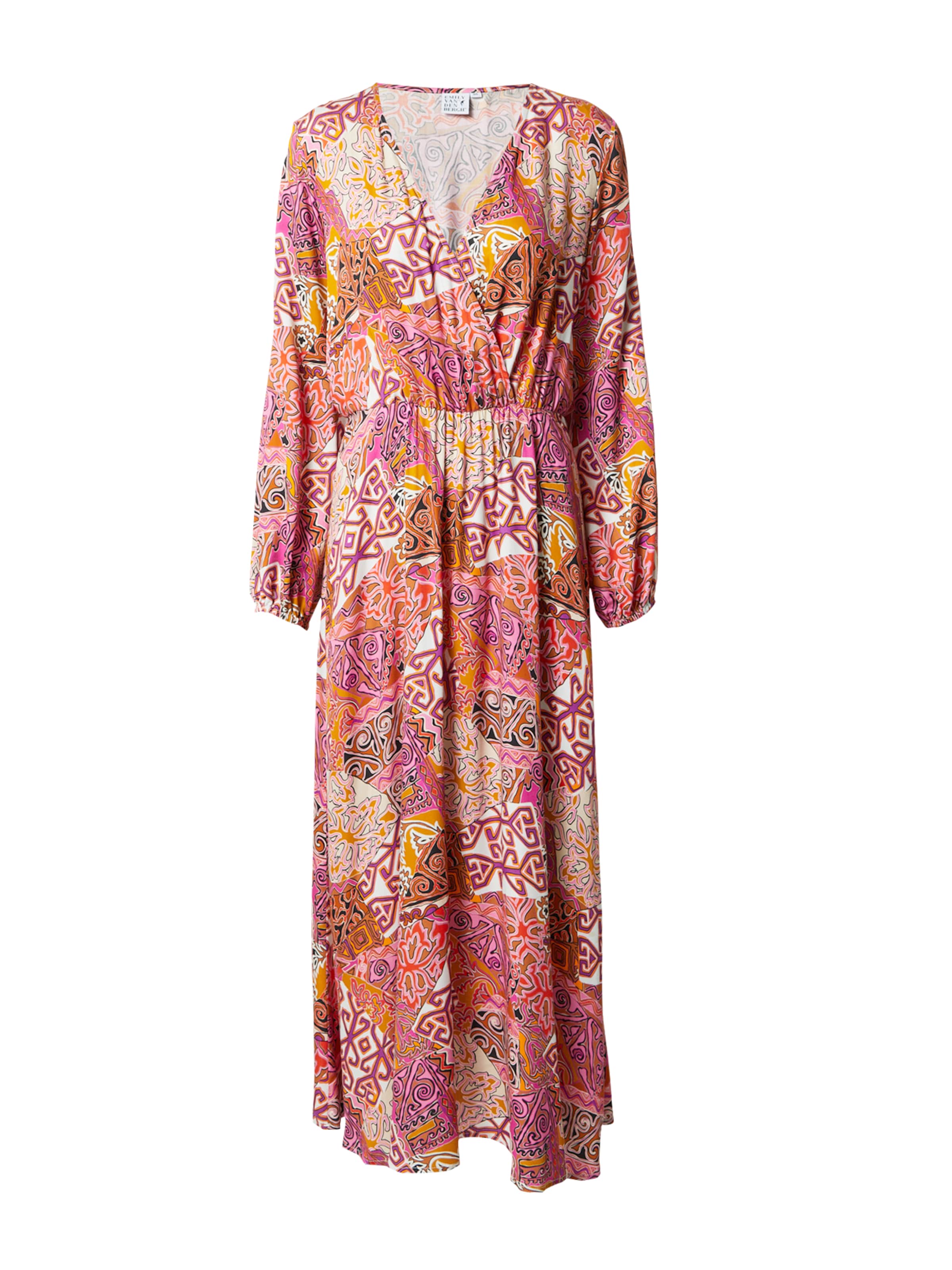 Emily Van Den Bergh Dress in Mixed colours: front