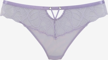 LASCANA Thong in Purple: front