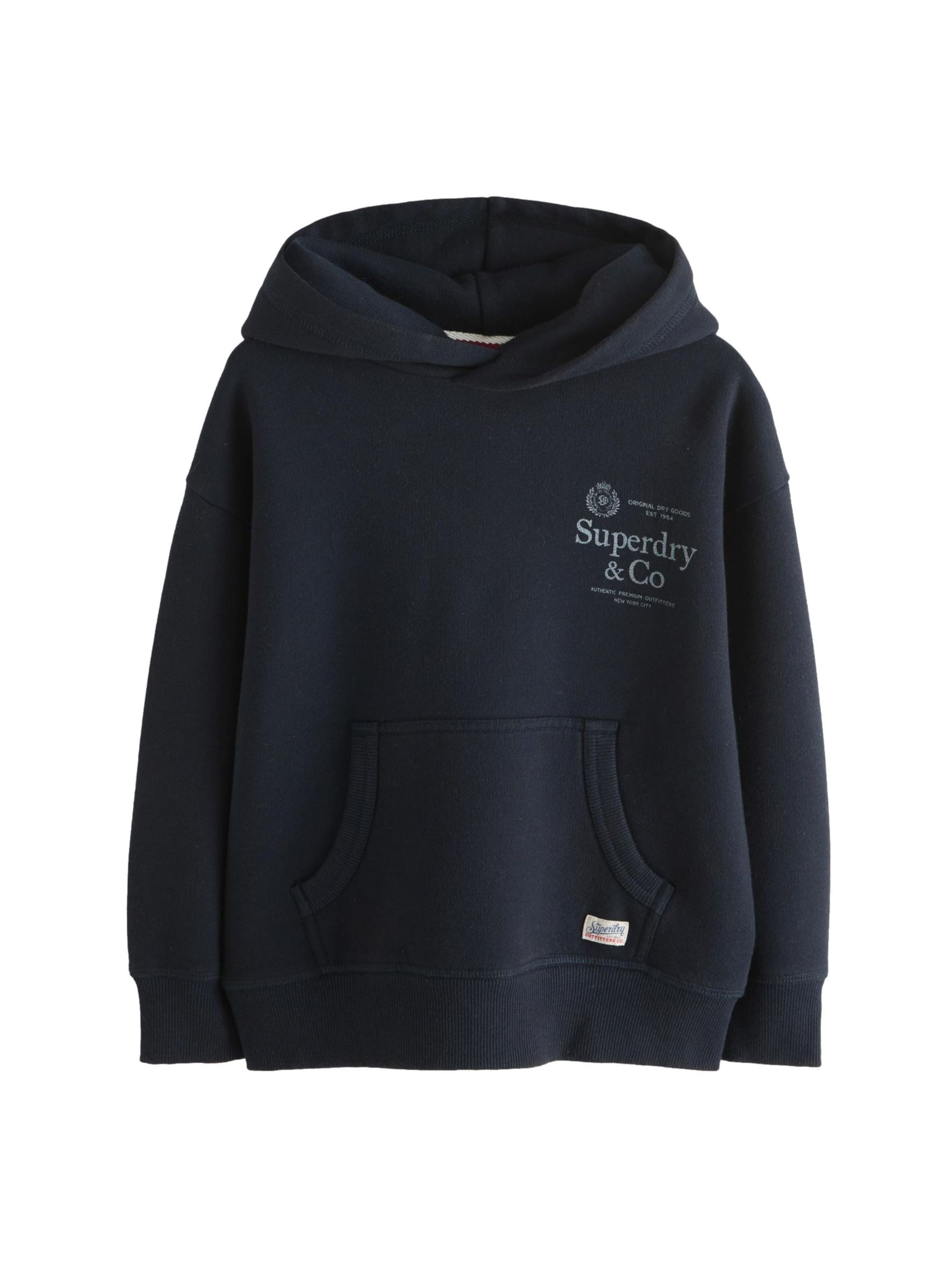 Felpa di Superdry & Co in blu: frontale