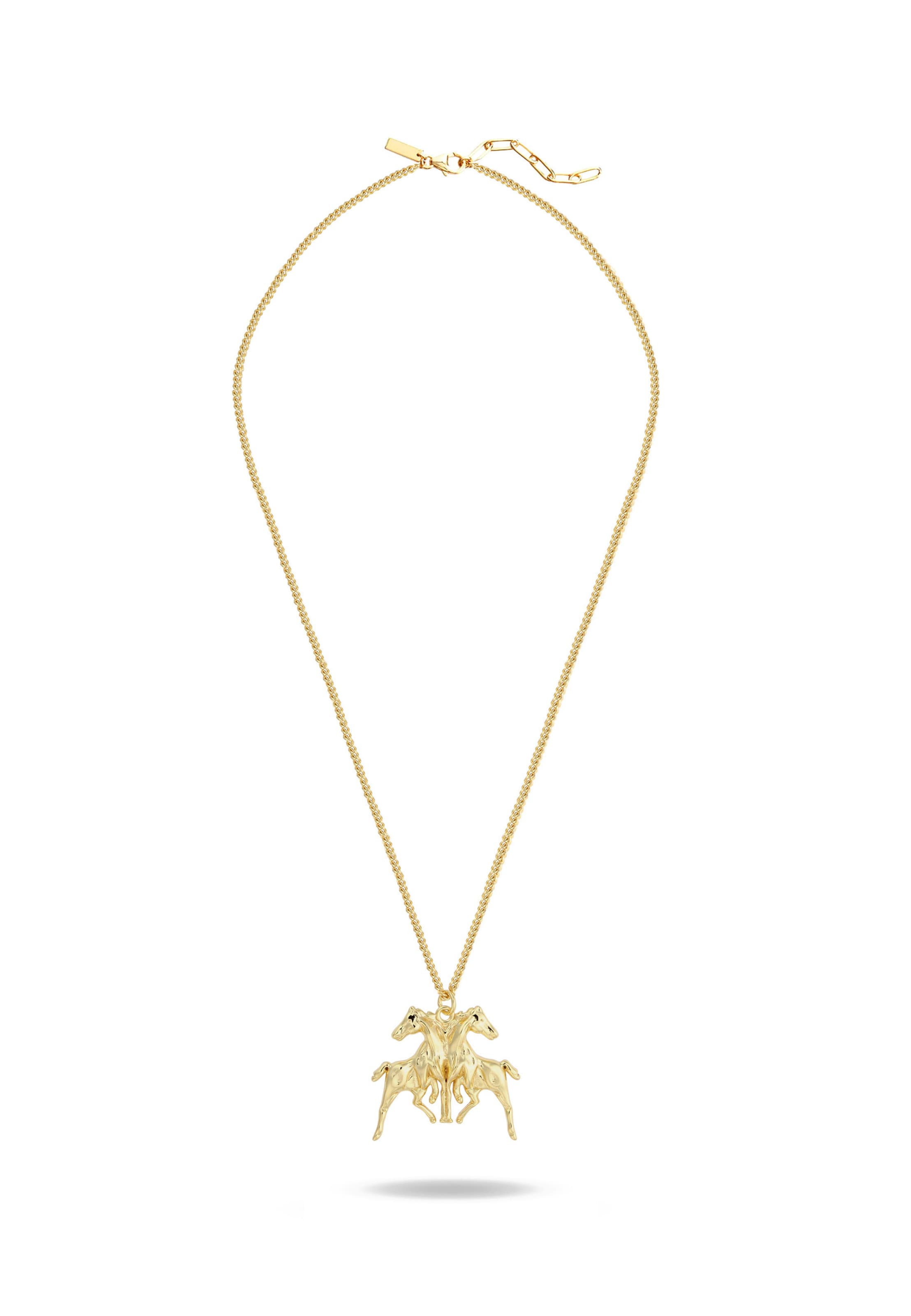 Commen Lines Necklace 'RIDE OR DIE 2.0' in Gold: front