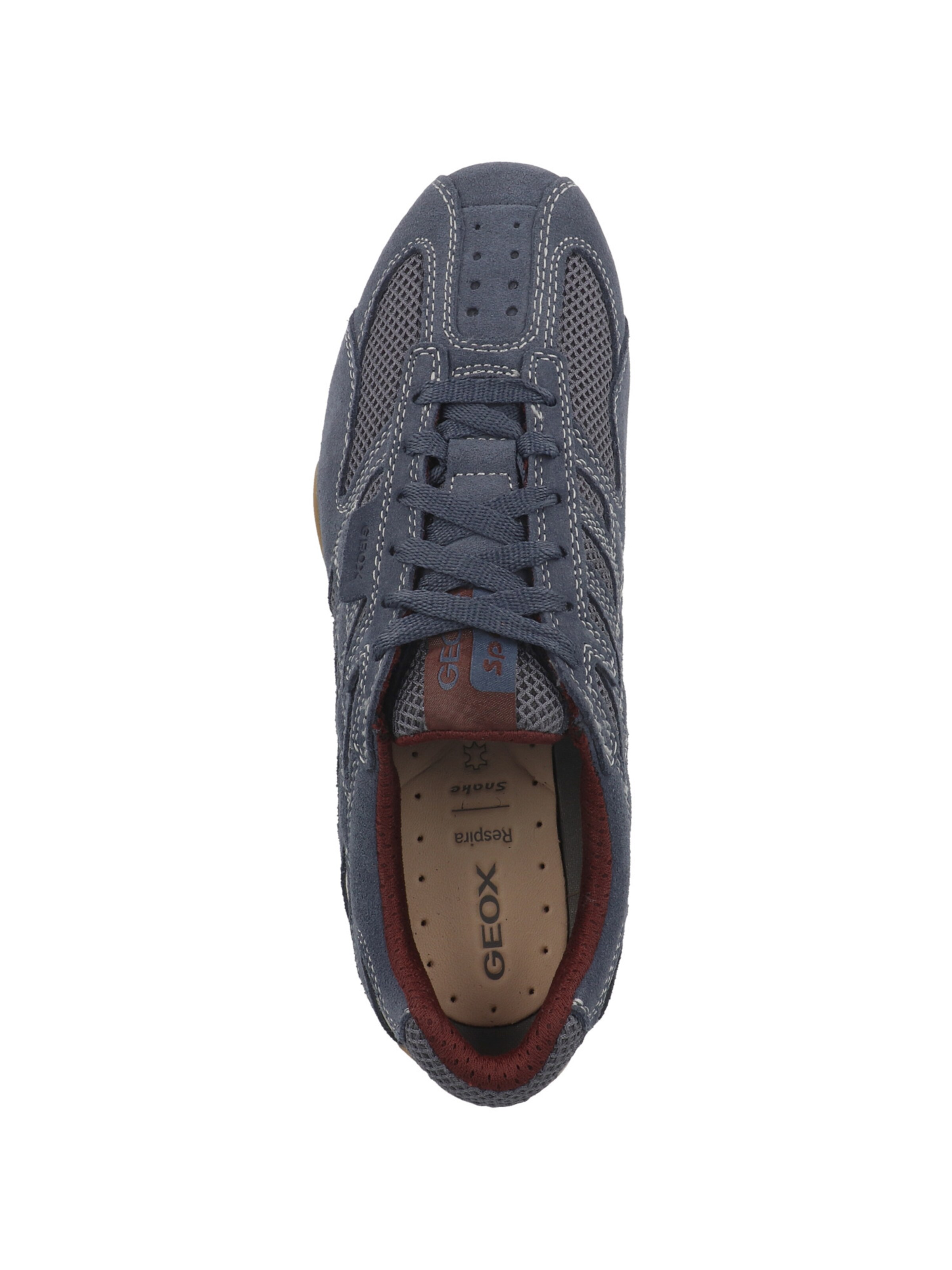 Sneaker bassa di GEOX in blu