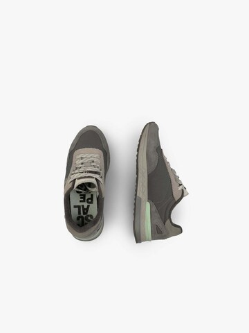 Scalpers Sneaker ' HARRY ' in Grau