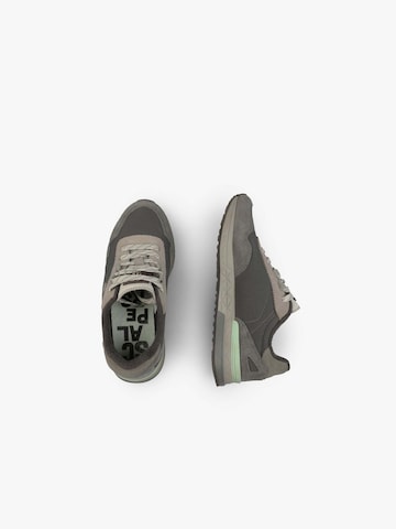 Scalpers Trainers ' HARRY ' in Grey