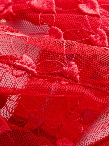 Next Balconette BH 'Premium' in Rood