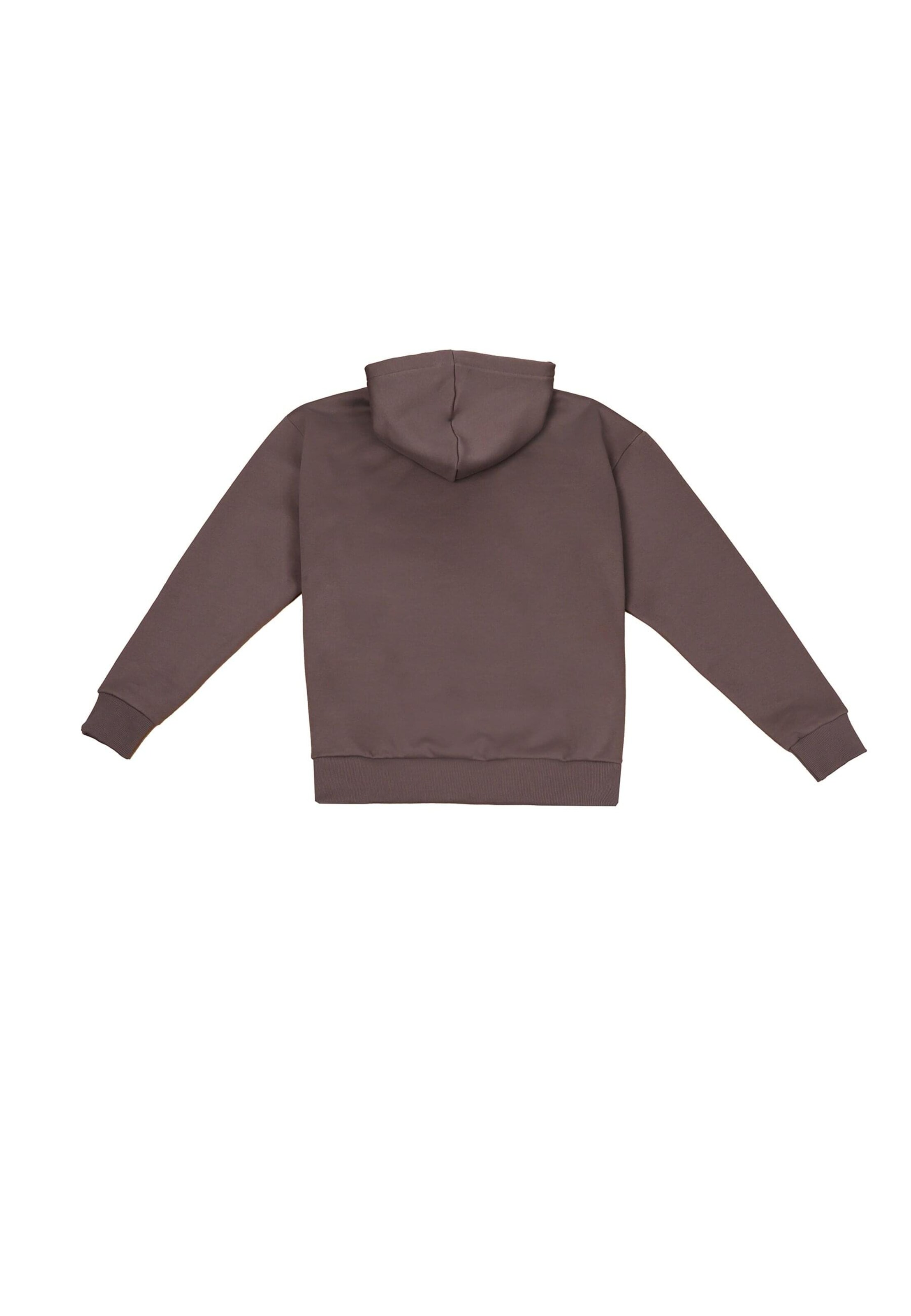 Sweat-shirt Dropsize en marron