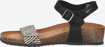 IGI&CO Sandalen met riem in Zwart