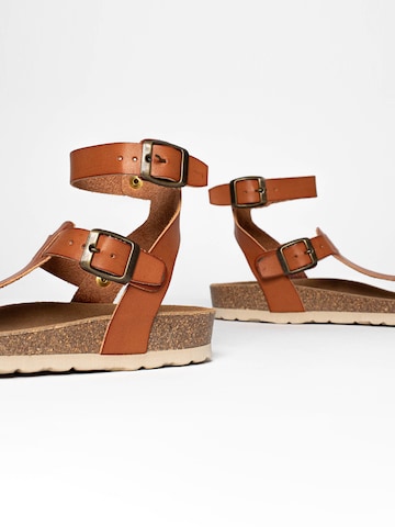 Bayton Sandal 'Kwinana' in Brown