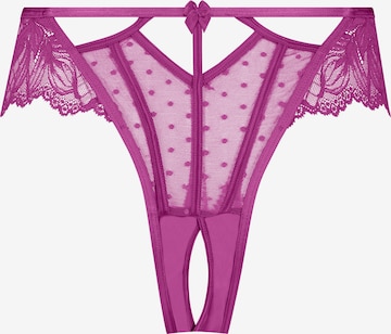 Hunkemöller Panty 'Lulu' in Purple: front