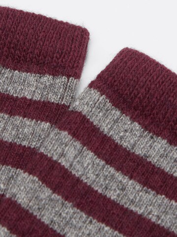 CALZEDONIA Socken in Grau