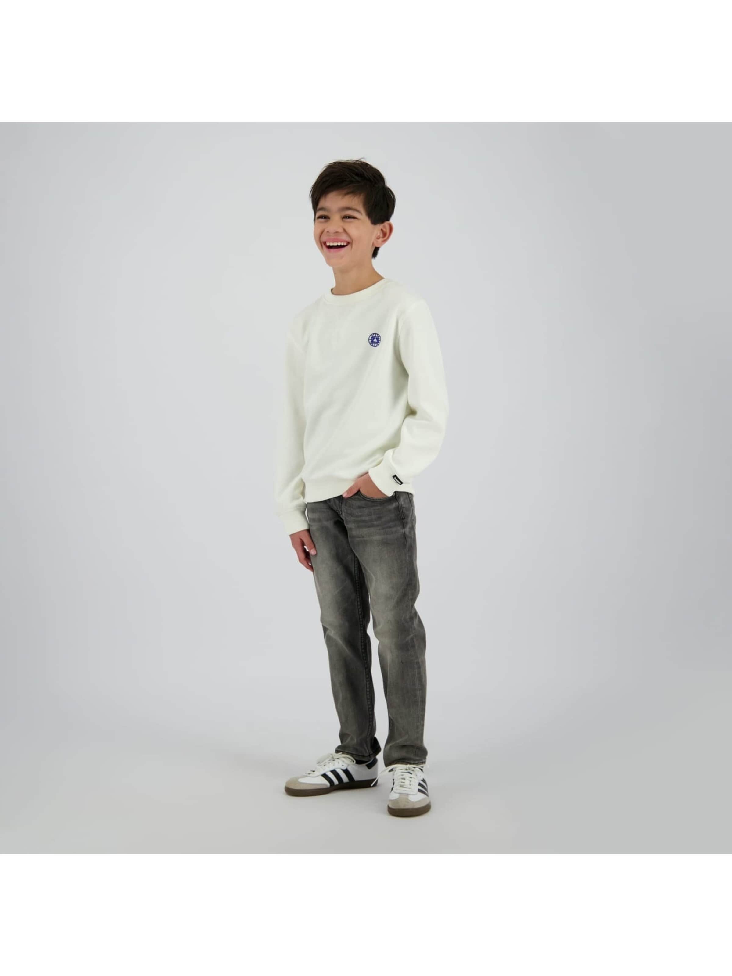 Raizzed Baggy Jeans in Grey